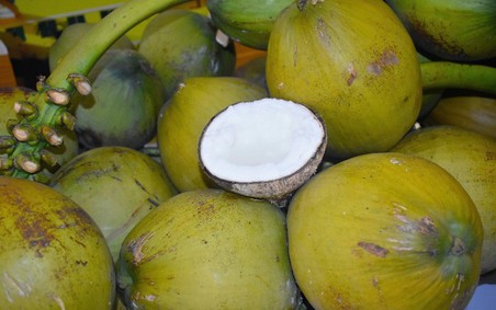 Dừa Việt Nam đang trở thành mặt hàng xuất khẩu giá trị cao