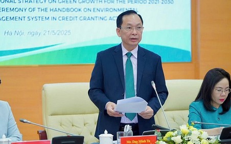 Tốc độ tăng trưởng bình quân dư nợ tín dụng xanh đạt hơn 21%/năm