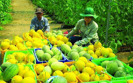 Xuất khẩu sang Canada có thể vượt mốc 11 tỷ USD