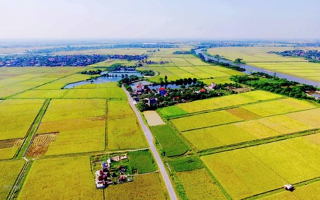 Kéo dài thời gian miễn thuế sử dụng đất nông nghiệp tới hết năm 2030