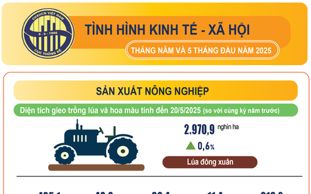 Kinh tế - xã hội 5 tháng đầu năm: Phục hồi mạnh mẽ và tăng trưởng ổn định
