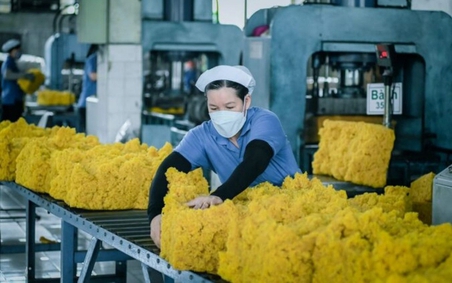 Xuất khẩu cao su đạt gần 3,33 tỷ USD trong năm 2025
