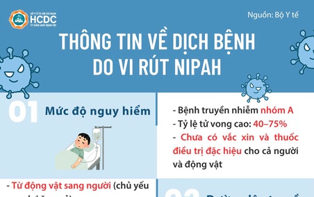 TP.HCM: Tăng cường phòng, chống dịch bệnh do virus Nipah gây ra
