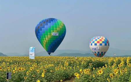 Từ cánh đồng hướng dương 150 ha đến kỷ lục thế giới tái xác lập năm 2026 của TH