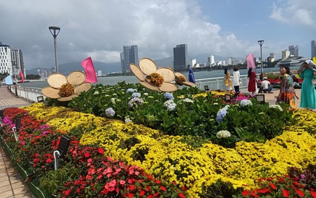 Đà Nẵng rực rỡ sắc xuân, lan tỏa khát vọng thành phố đáng sống