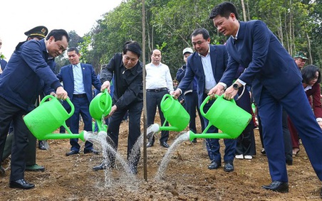 Chủ tịch nước dự lễ phát động Tết trồng cây năm 2026