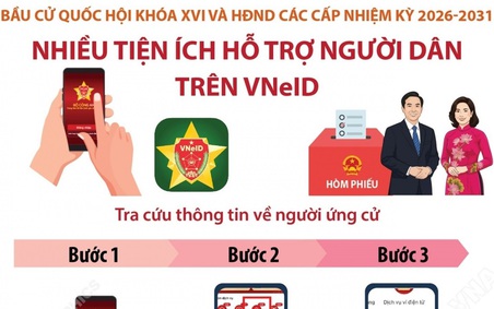TP. HCM: Tăng cường vận động người dân sử dụng các tiện ích phục vụ cử tri trên ứng dụng VNeID