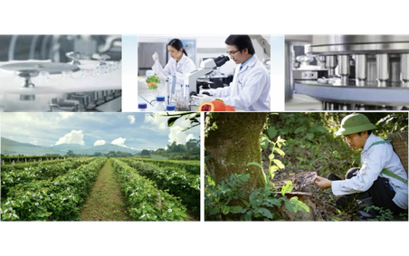 Định hình con đường dược liệu Việt: Tư duy chiến lược của Anh hùng Lao động Thái Hương