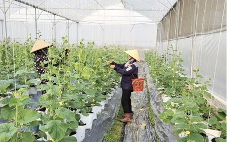 Từ sản xuất xanh đến kinh tế nông nghiệp xanh
