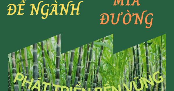 Để ngành mía đường phát triển bền vững - DNTT online