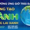 TP.HCM triển khai nhiều hoạt động hưởng ứng Giờ Trái đất 2026