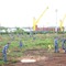 Trung tâm Bảo đảm kỹ thuật Vùng 2 hải quân tổ chức “Tết trồng cây đời đời nhớ ơn Bác Hồ”