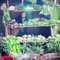 Độc đáo Chợ quê Cà Mau Eco - nơi lưu giữ ký ức chợ xưa