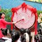 Lễ khai giảng đặc biệt tại Trường Tiểu học Thăng Long