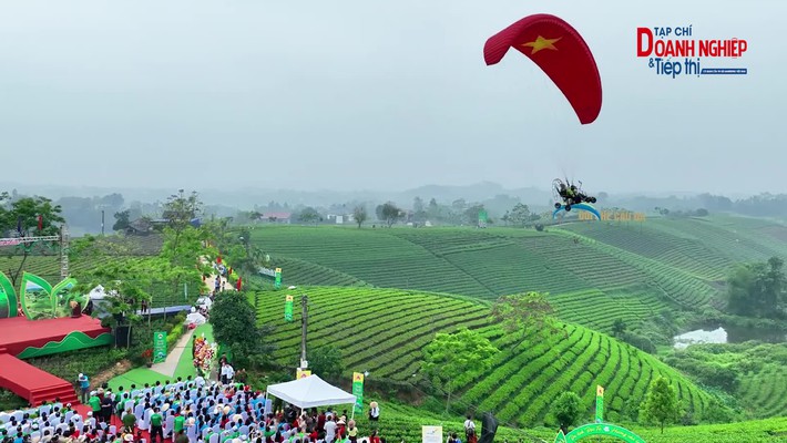 Bản tin Thương hiệu Việt ngày 02/05/2025: Thái Nguyên kết hợp du lịch và ẩm thực, hướng tới mục tiêu xuất khẩu chè tỷ đô