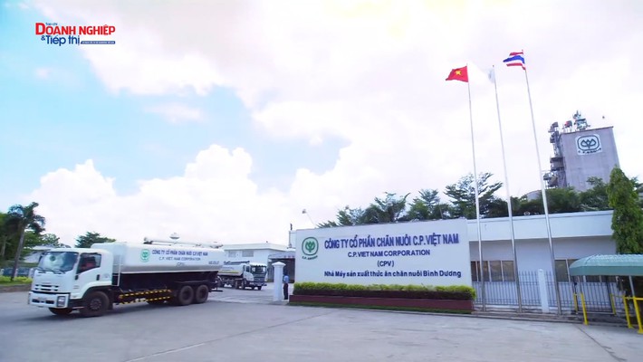 Công ty cổ phần chăn nuôi CP Việt Nam – Chi nhánh Bình Dương