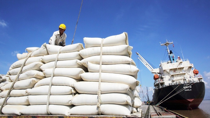 Mỹ dự báo xuất khẩu gạo Việt Nam đứng thứ 2 thế giới